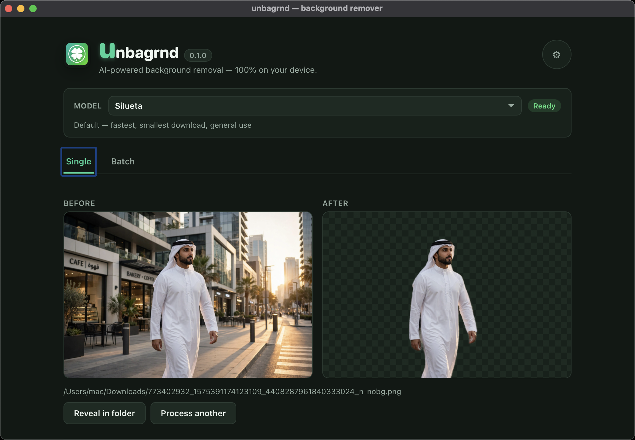 unbagrnd single-image result